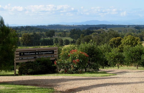 Grapevines Boutique Accommodation - Australian Directory 15