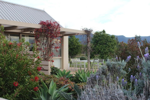 Grapevines Boutique Accommodation - Australian Directory 28