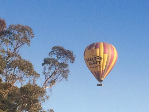 Grapevines Boutique Accommodation - Australian Directory 12