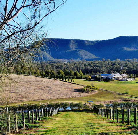 Grapevines Boutique Accommodation - Australian Directory 5