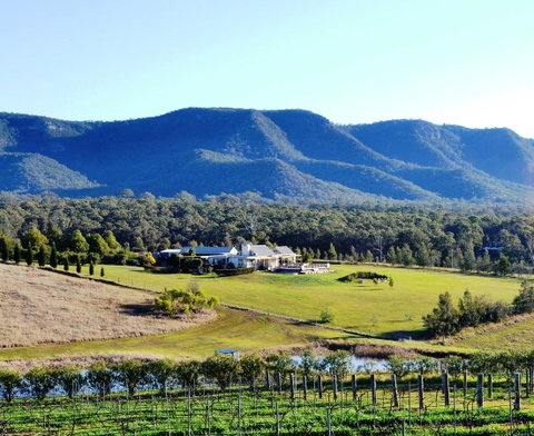 Grapevines Boutique Accommodation - Australian Directory 0