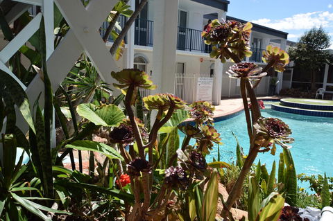 West Beach Lagoon 220 Stylish And Cozy - Australian Directory 18