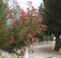 The Heights Bed  Breakfast - Australian Directory