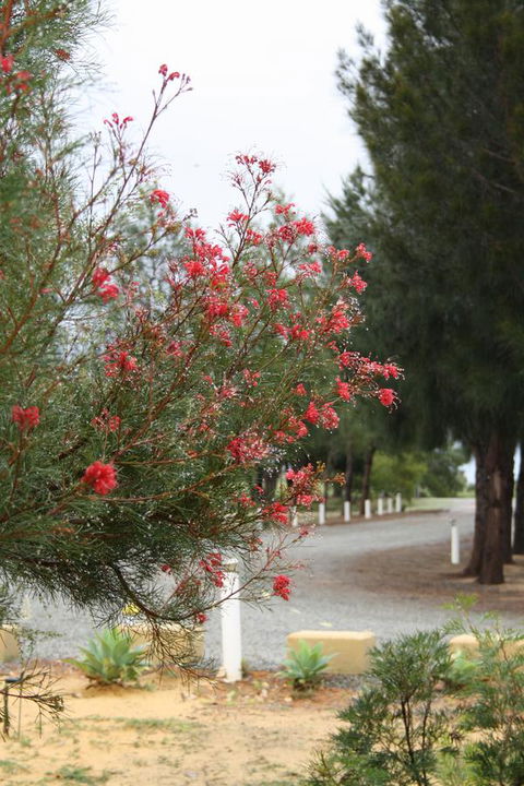 The Heights Bed & Breakfast - Australian Directory 0