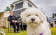 Discovery Parks - Perth Airport - thumb 24