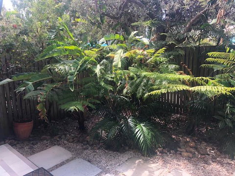 East On Byron - Australian Directory 40