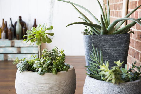 The Parkview Hotel Mudgee - Australian Directory 35