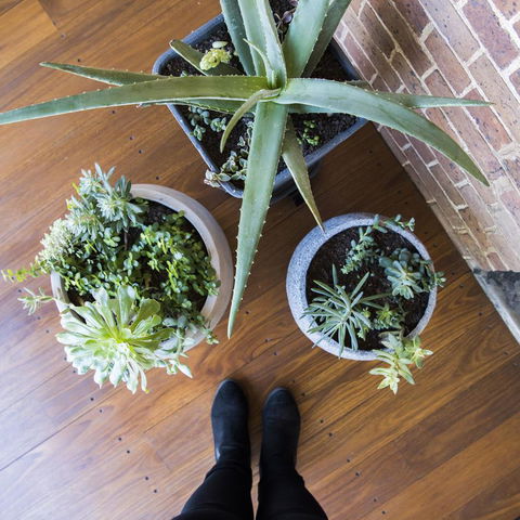 The Parkview Hotel Mudgee - Australian Directory 33