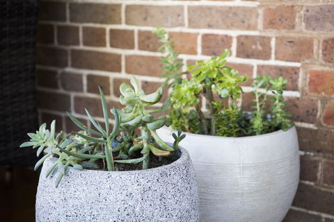 The Parkview Hotel Mudgee - Australian Directory 34