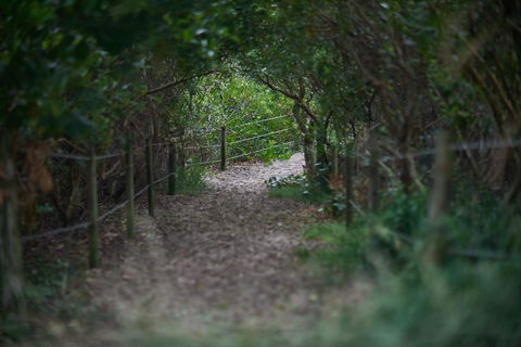 Ingenia Holidays Byron Bay - Australian Directory 15