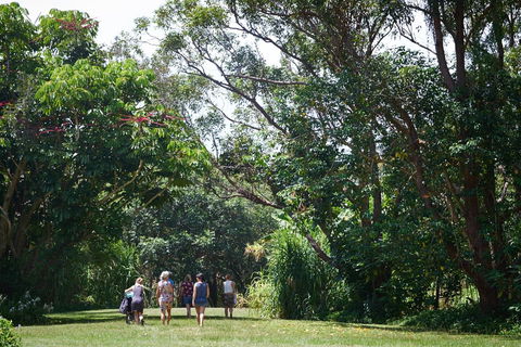 Ingenia Holidays Byron Bay - Australian Directory 11