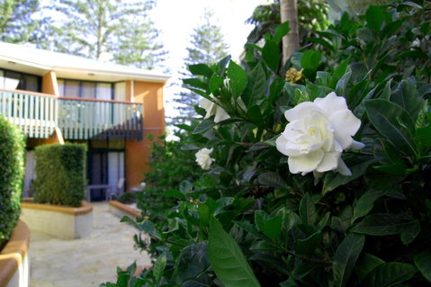 The Crest Byron Bay - Australian Directory 29