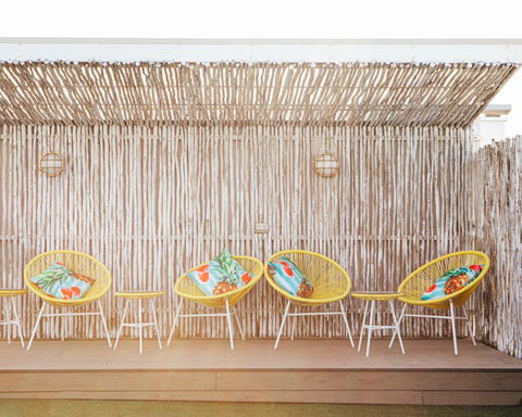 Wake Up! Bondi Beach - Australian Directory 25