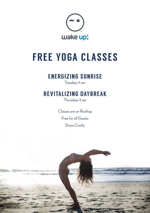 Wake Up! Bondi Beach - Australian Directory 4