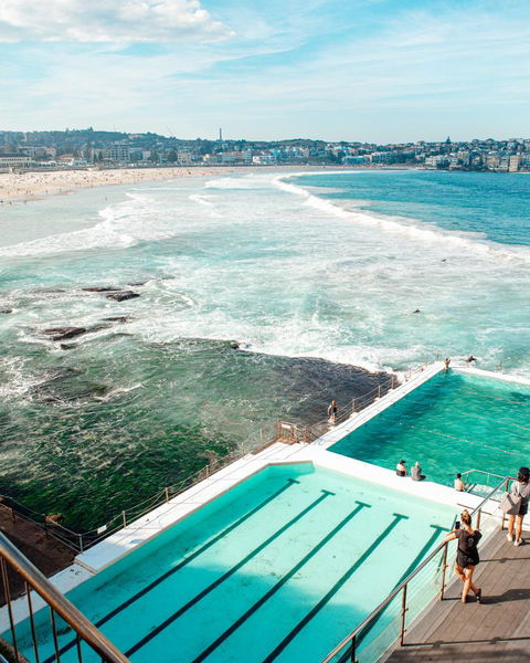 Wake Up! Bondi Beach - Australian Directory 37