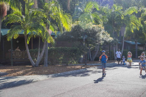 The Palms At Avoca - Australian Directory 14