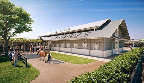 The William Inglis Mgallery - Australian Directory 39