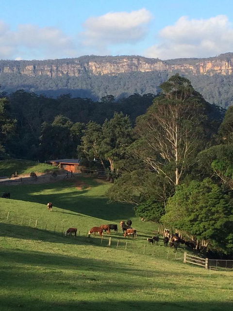 Amaroo Valley Springs - Australian Directory 0