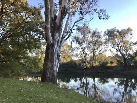 The Botanical 201 - Australian Directory 18