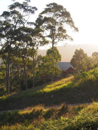 Book Bawley Point Accommodation Vacations Australian Directory Australian Directory