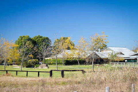 Potters Apartments - Australian Directory 26