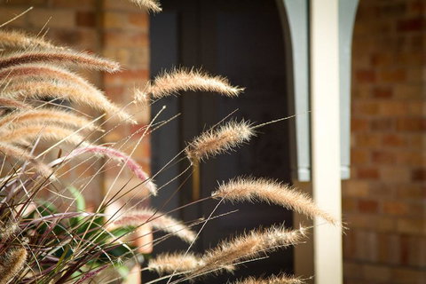 Potters Apartments - Australian Directory 41