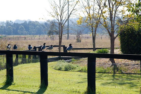 Potters Apartments - Australian Directory 24