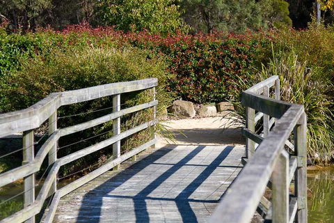 Potters Apartments - Australian Directory 10