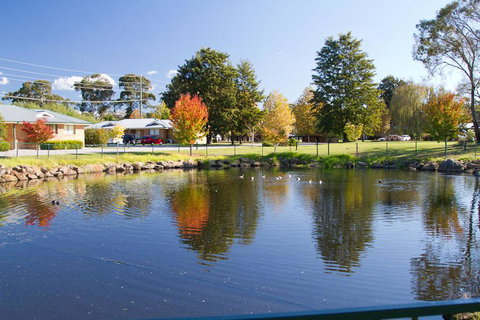 Potters Apartments - Australian Directory 39