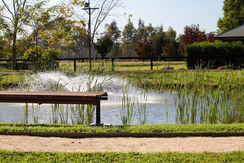 Potters Apartments - Australian Directory 23