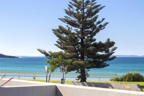 Beachfront 2 - Australian Directory 19
