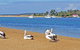 Pelican Motor Inn - thumb 29