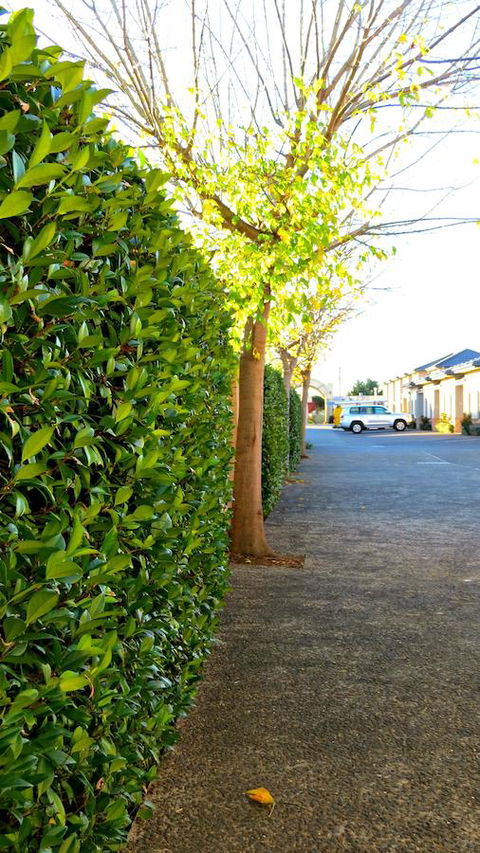 Best Western Plus Goulburn - Australian Directory 37