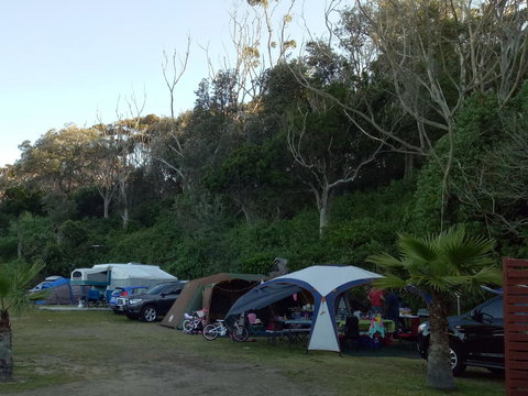 Blue Lagoon Beach Resort - Australian Directory 19