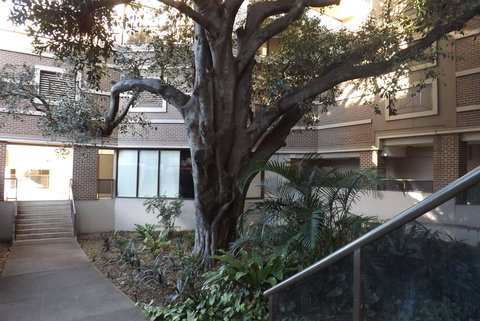 Fiori Apartments - Australian Directory 32