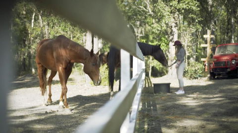 The Woods Farm Jervis Bay - Australian Directory 13