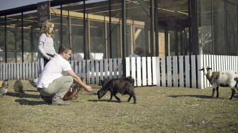 The Woods Farm Jervis Bay - Australian Directory 14
