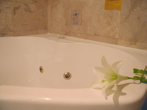 Novotel Sydney Brighton Beach - Australian Directory 11