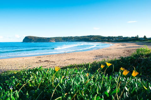 Copacabana Shores - Australian Directory 2