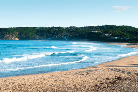 Copacabana Shores - Australian Directory 8