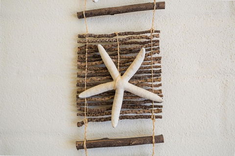 Seashells Apartments Merimbula - Australian Directory 10