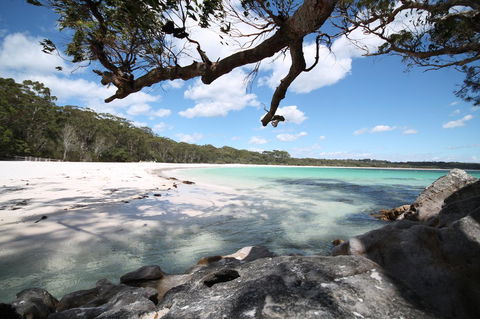 The Edgewater On Greville - Australian Directory 36