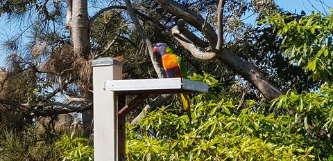 The Edgewater On Greville - Australian Directory 15