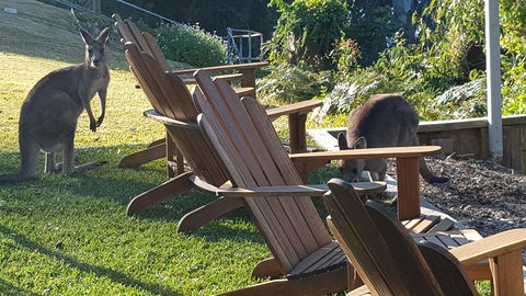 The Edgewater On Greville - Australian Directory 18