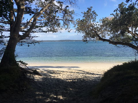 Ambience - Australian Directory 1