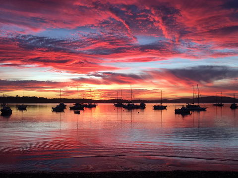 Ambience - Australian Directory 0