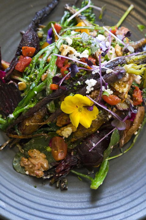 Sage Hotel Wollongong - Australian Directory 21