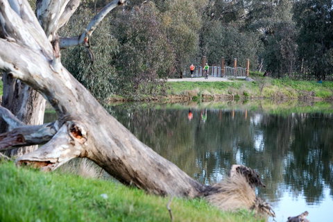 Mercure Albury - Australian Directory 15