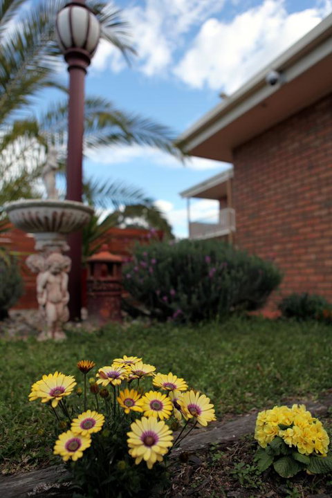 Summerhill Motor Inn - Australian Directory 28