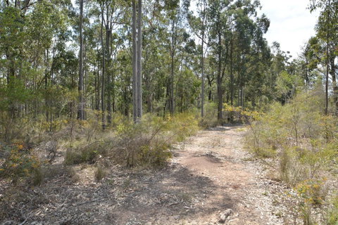 JE Guesthouse, Central To All The Hunter Valley Has To Offer - Australian Directory 44